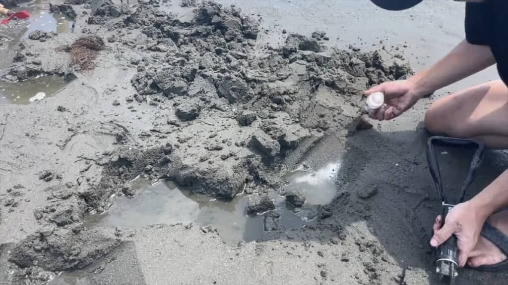 スーパーに入荷したサメをペットとして飼う