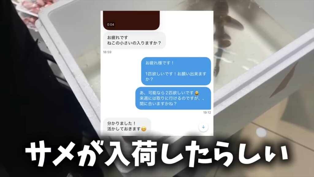 スーパーに入荷したサメをペットとして飼う