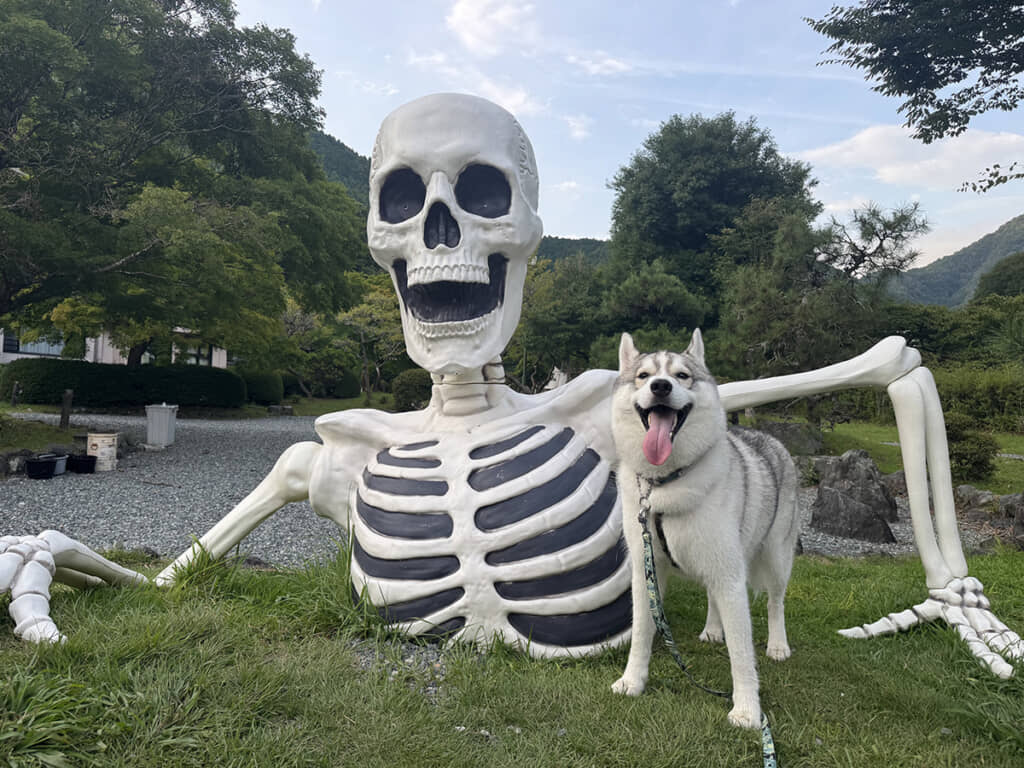 どっちも笑顔が良すぎる！