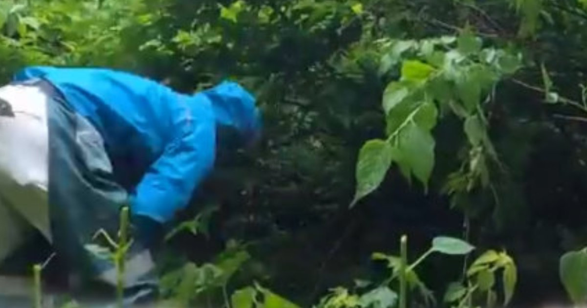 10年以上放置された廃屋横の池をのぞくと……　まさかの生き物の姿に「寂しかったでしょうね」「ほっこりしました」（1/3） | その他生き物 ねとらぼ