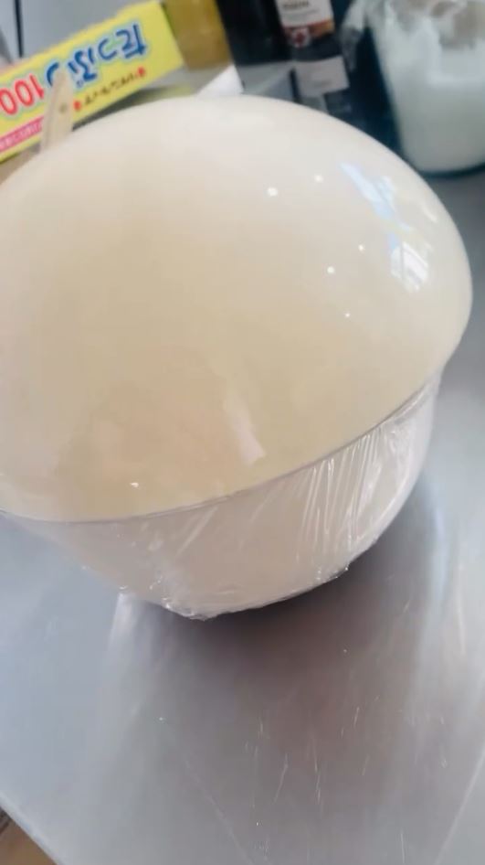 どの角度から見てもまん丸