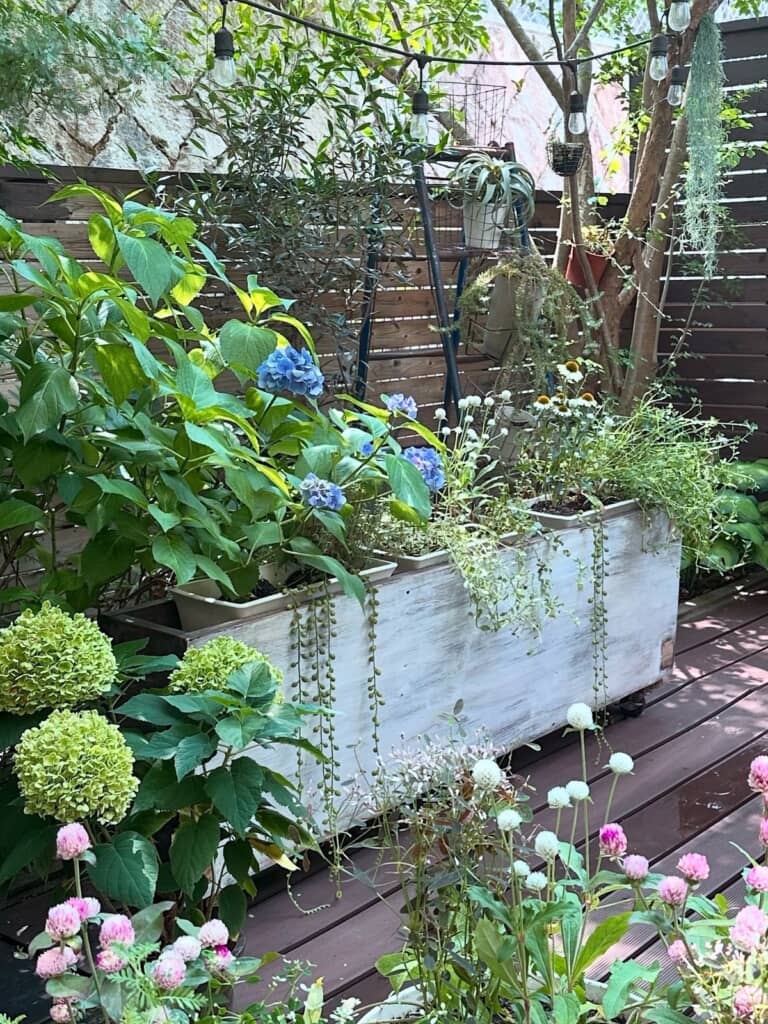 咲き誇る花々もすてき