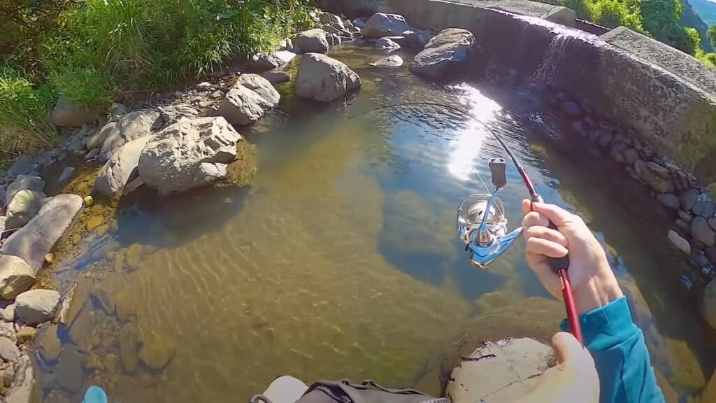 大きなあたりが