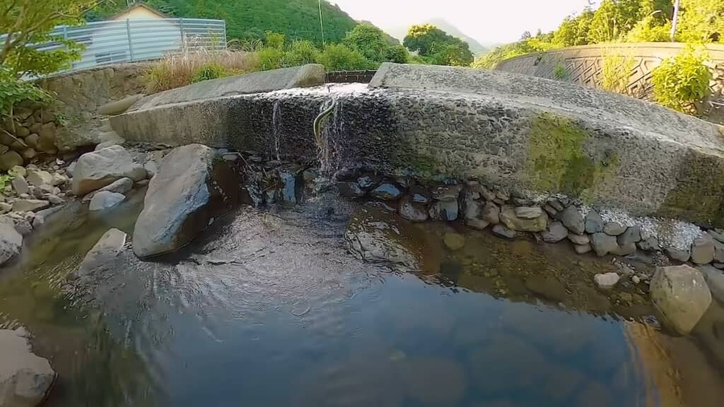 もう1匹ウナギが釣れました