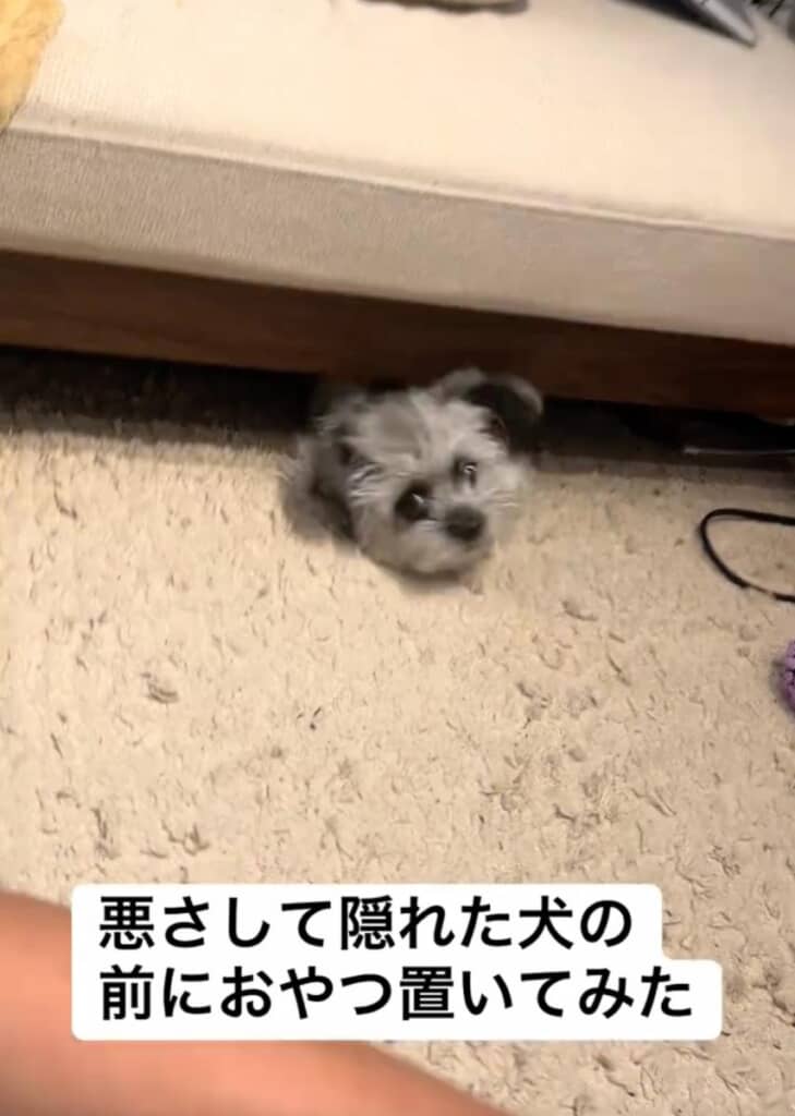 ものすごいスピードでバック！