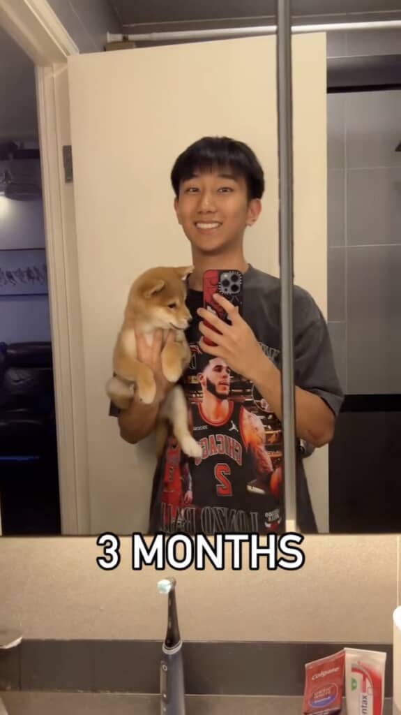 生後3カ月目のGoogleちゃん。とってもキュート