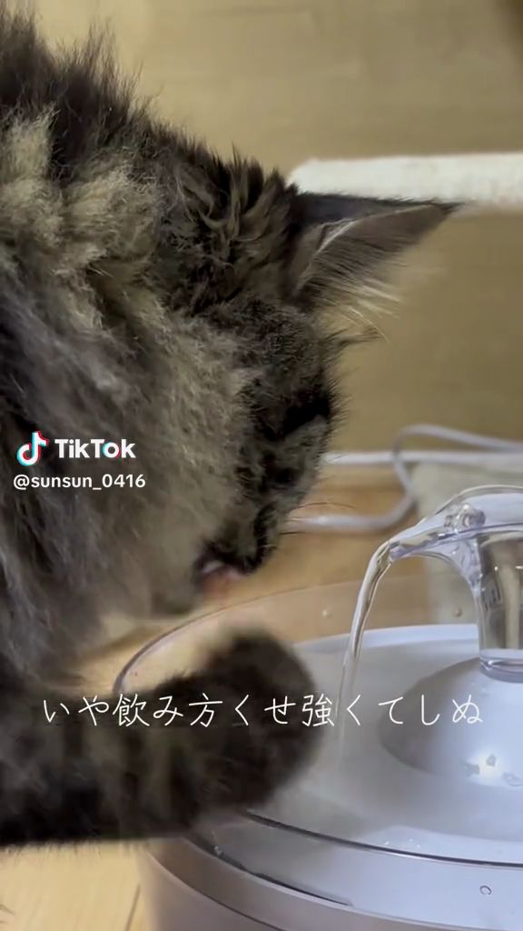 華麗な手さばき!?