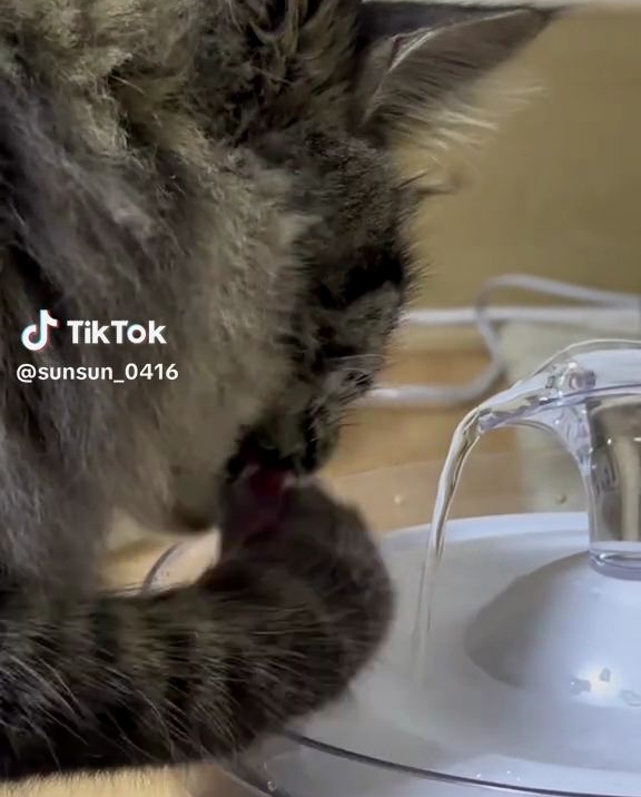 かなり高速です