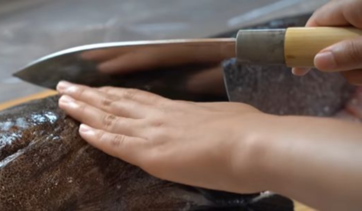 知床で釣り上げた“怪魚”、さばいてみると……「やばいやばいやばい」→まさかの姿に「ゴジラの口」「なまら美味そう」（1/3） | ライフスタイル ねとらぼ