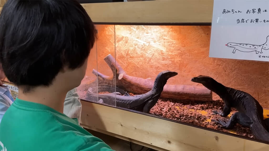 2匹を対面させると……