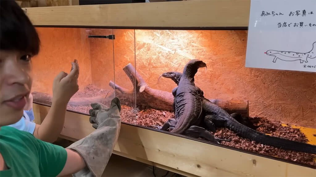 むーちゃんがマウントを取ってしまいました