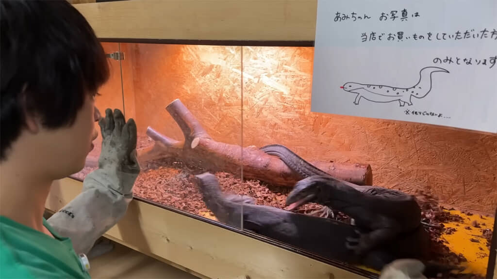 かみつきに行ってしまいました