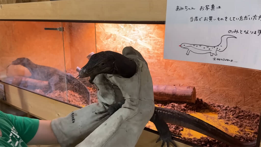 今回のペアリングは中止することに