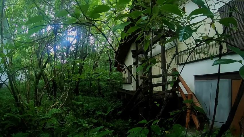 周囲が植物だらけで薄暗い別荘