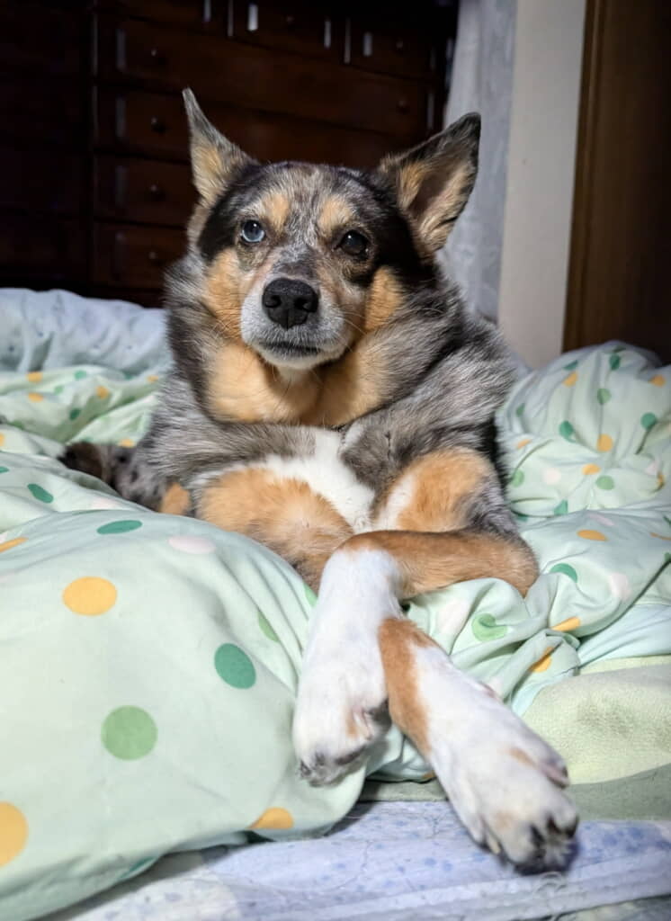 なつめちゃん、かっこいい……