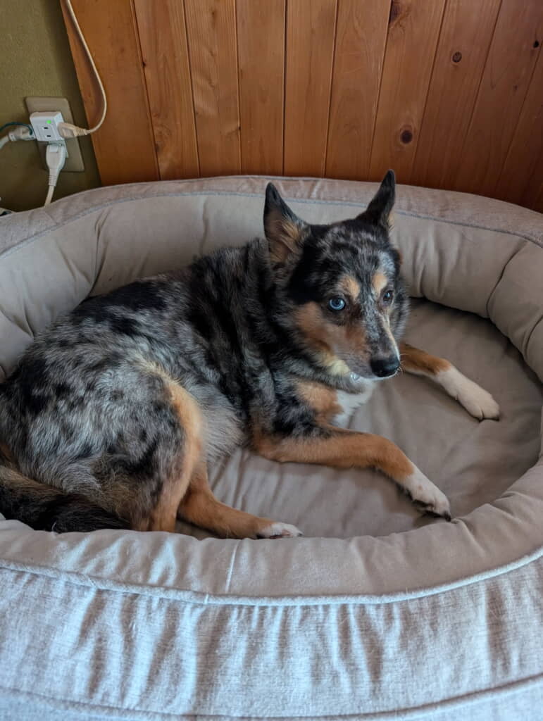 ベッドでまったり