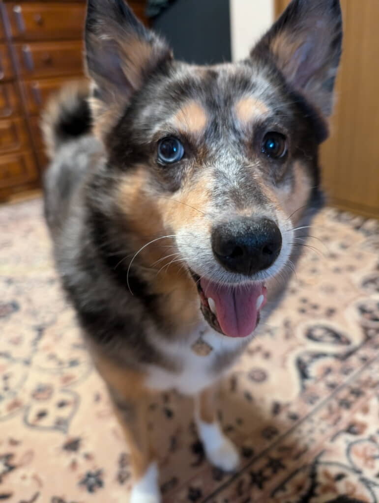 キュートな笑顔！