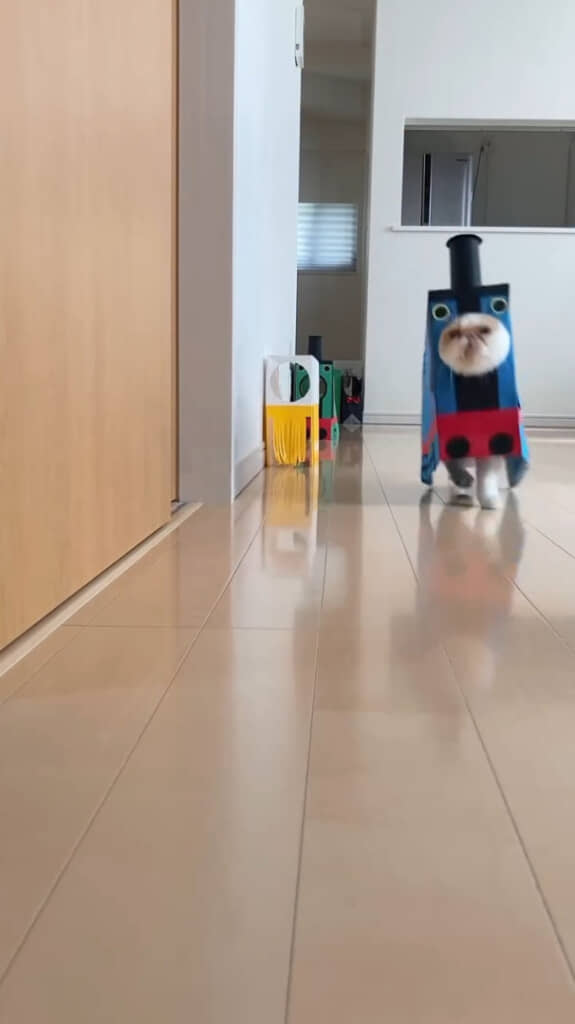 紙袋をかぶったまま走り出す姿が！