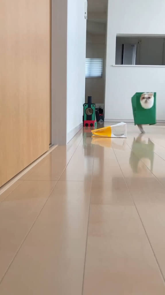 今度は緑色の紙袋をかぶるじんぱちくん