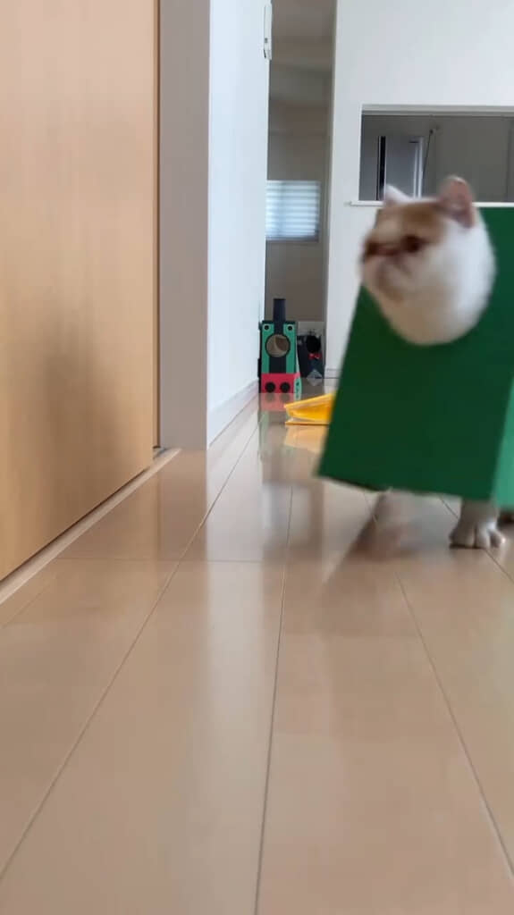 楽しそうでほっこり