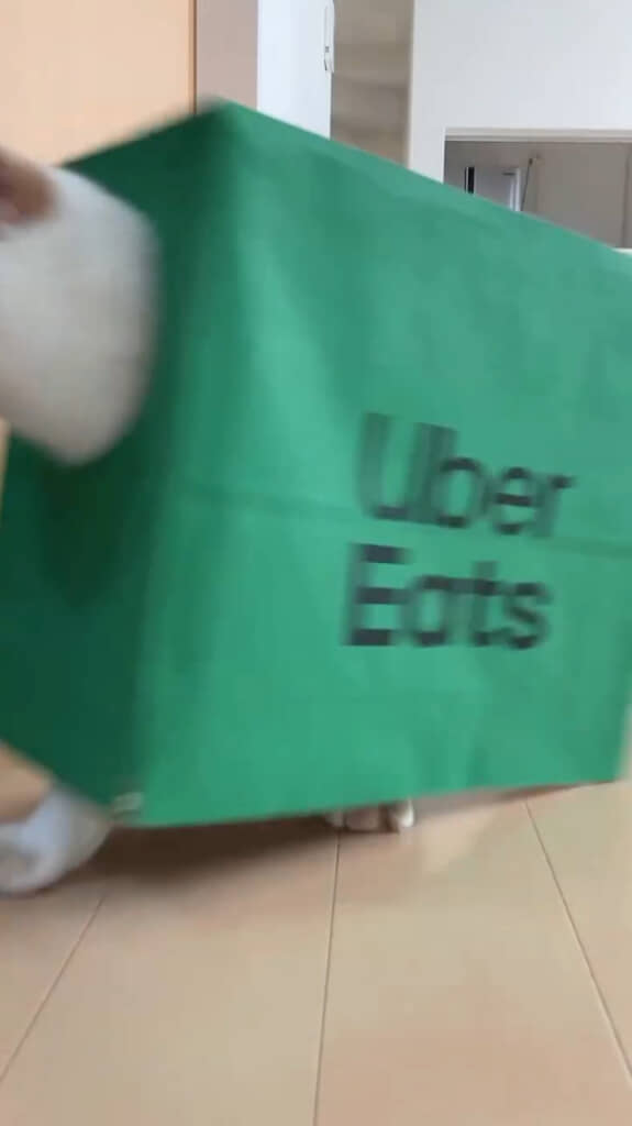 なんてかわいい配達員さん！