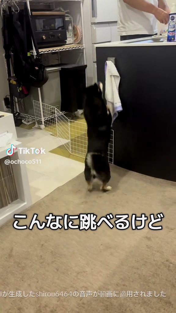 キッチンが気になって仕方ない