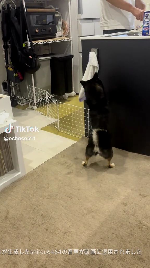 さて、どうする……