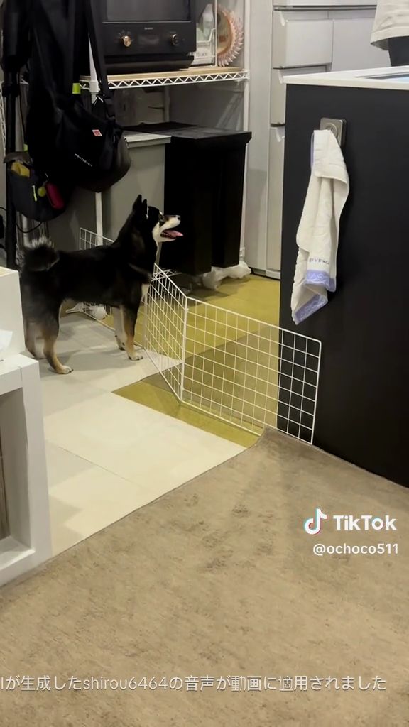 とってもお利口さんです