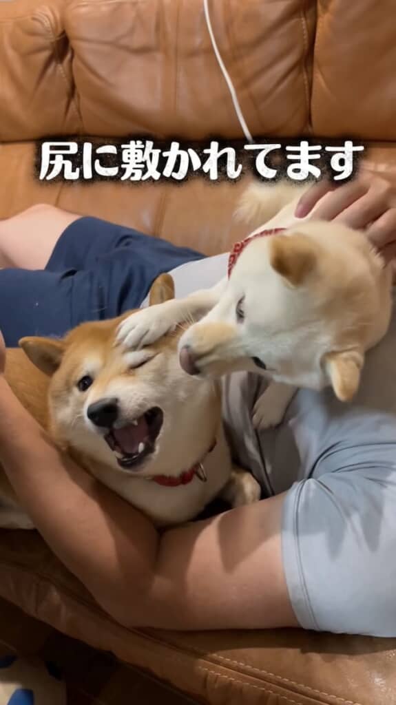 力関係が明確に