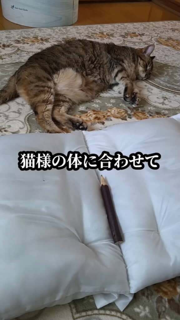 猫の体に合わせて成形する
