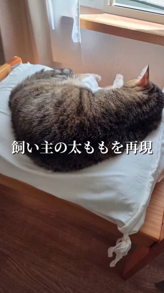 なかなかいいフィット感
