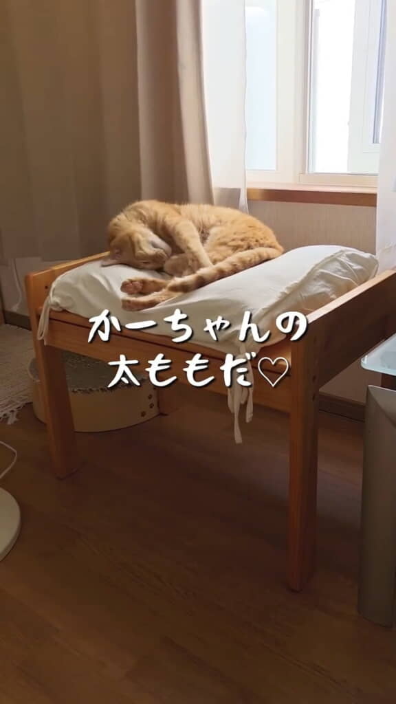 めっちゃ気持ちよさそう！
