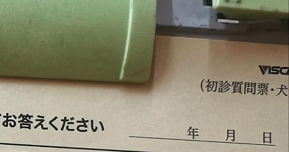 どうぶつ病院の問診票をよく見ると……「こういうので泣けるんだよな」　心打たれる“お願い”に「センスのかたまり」「素晴らしい！！！」（1/3） | 動物 ねとらぼ