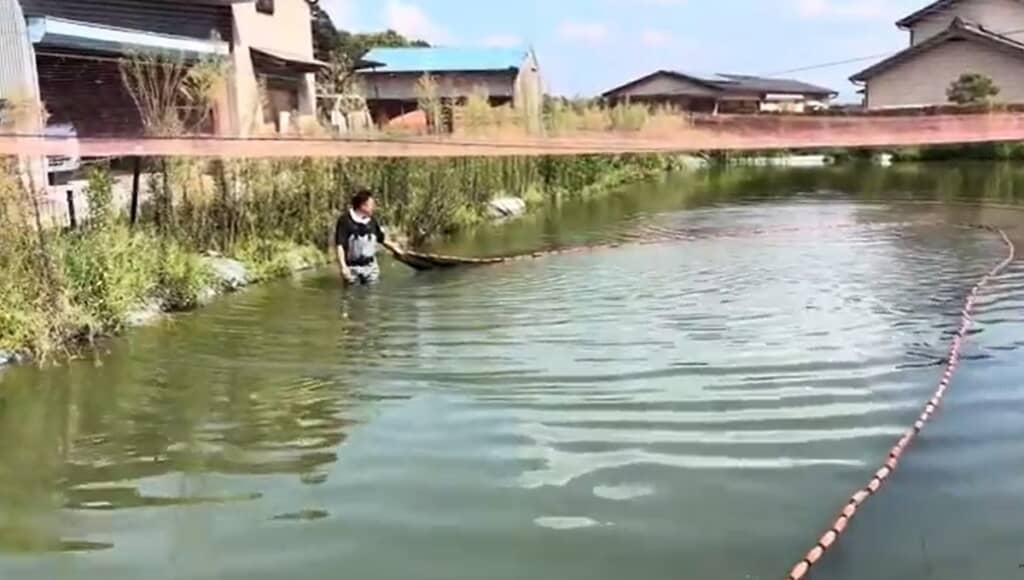 野池に来ています