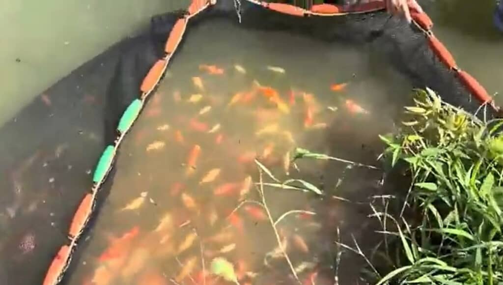 網を狭めてきました