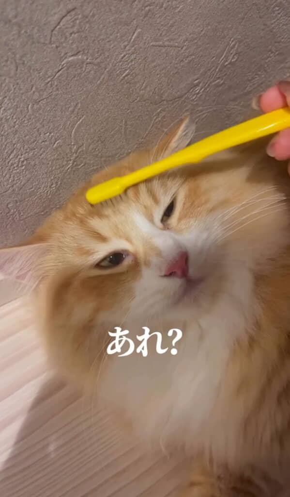 おや？