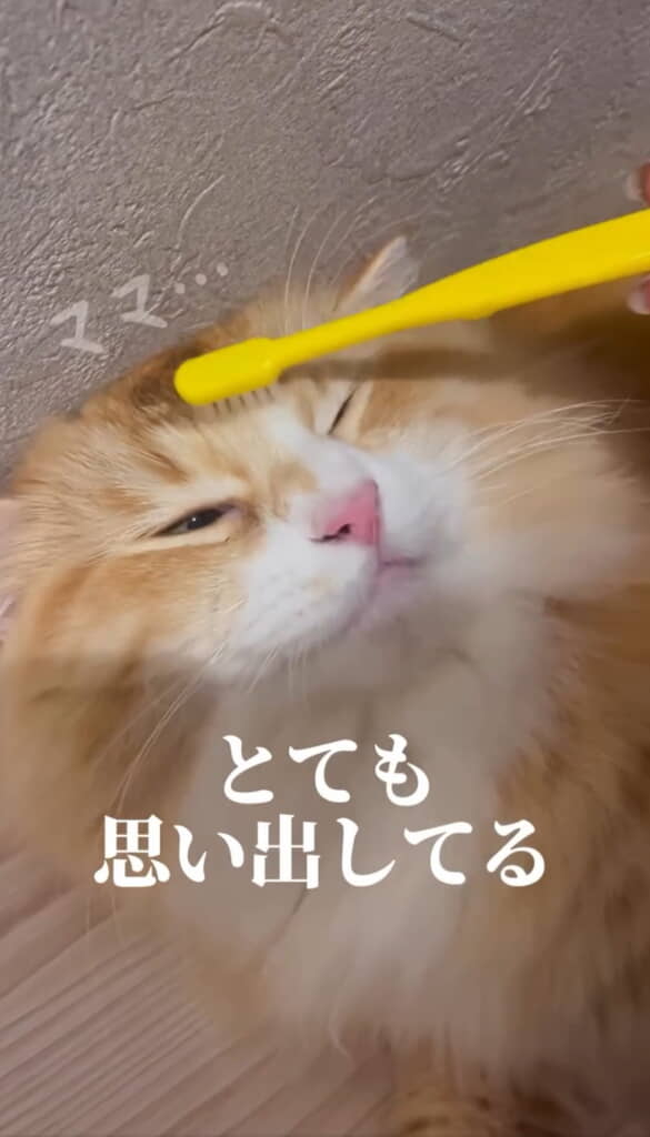 思い出してそう……!?