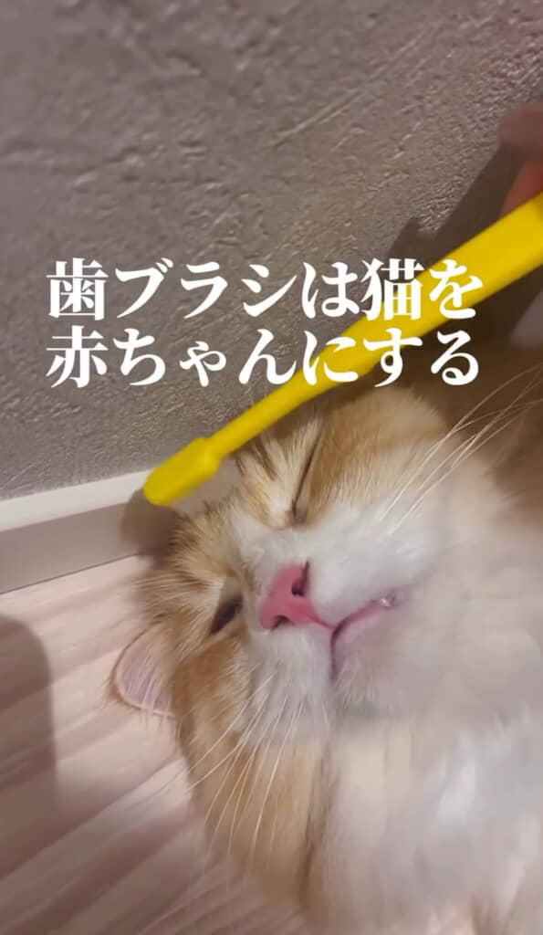 赤ちゃんになっちゃいました！