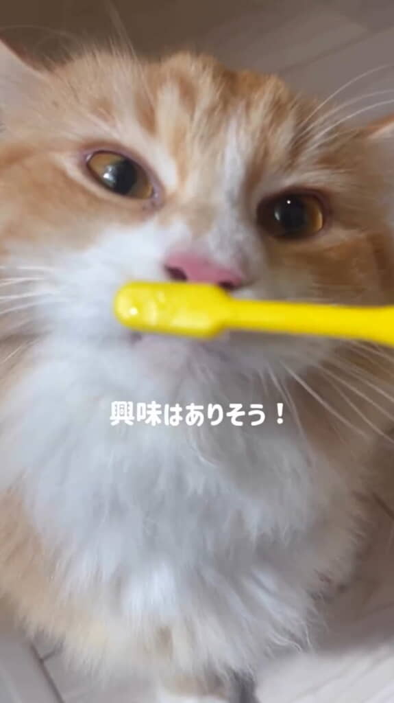 レオくん、興味津々です