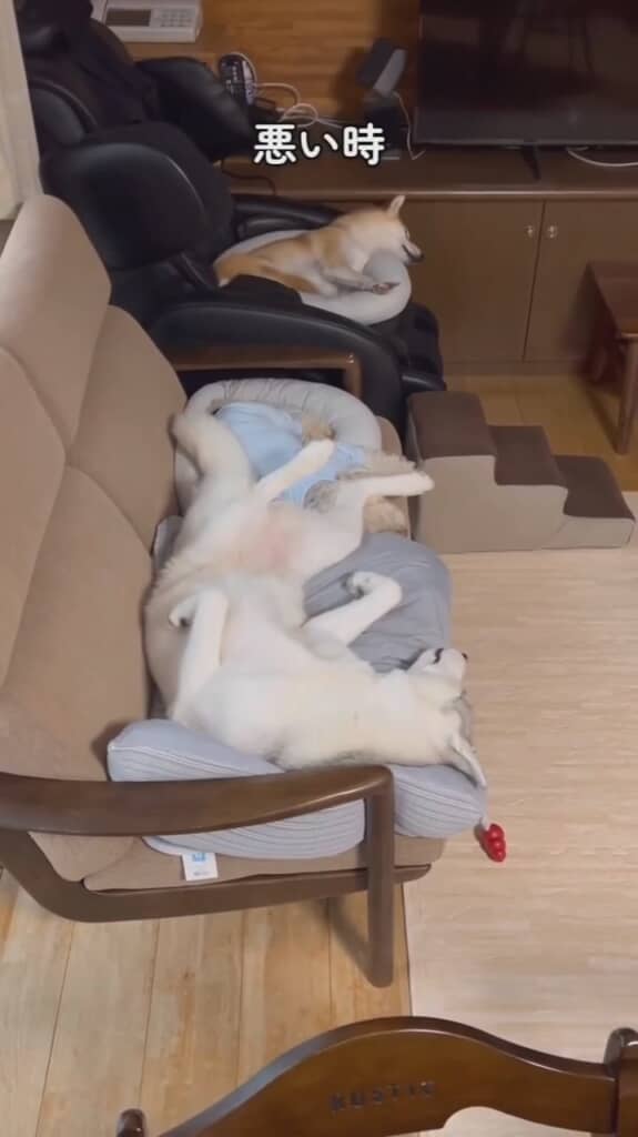 思いっきり足を広げているようですが……