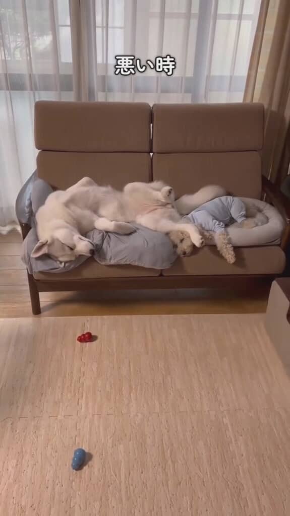 リクちゃーん！