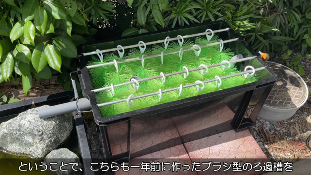 自作のろ過槽を稼働させ、水をキレイにしていきます