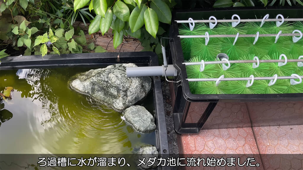 ろ過された水がビオトープに流れはじめました