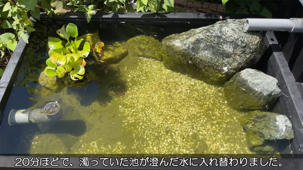 20分ほどですっかりキレイになりました