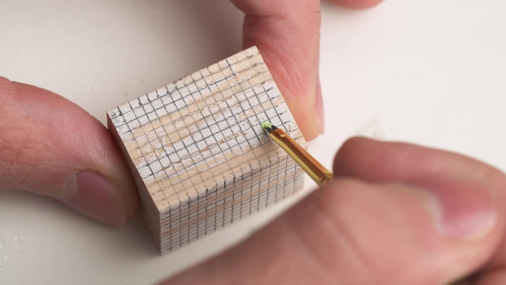 ヒカリイカの色を塗るところ