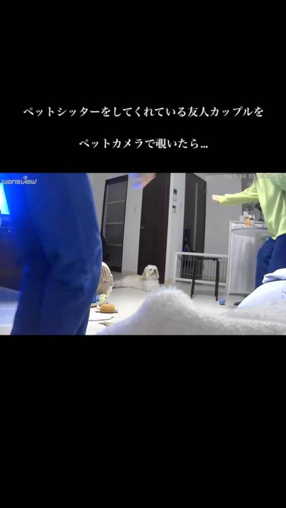 ペットシッターをしてくれている友人をペットカメラで覗いてみたら……