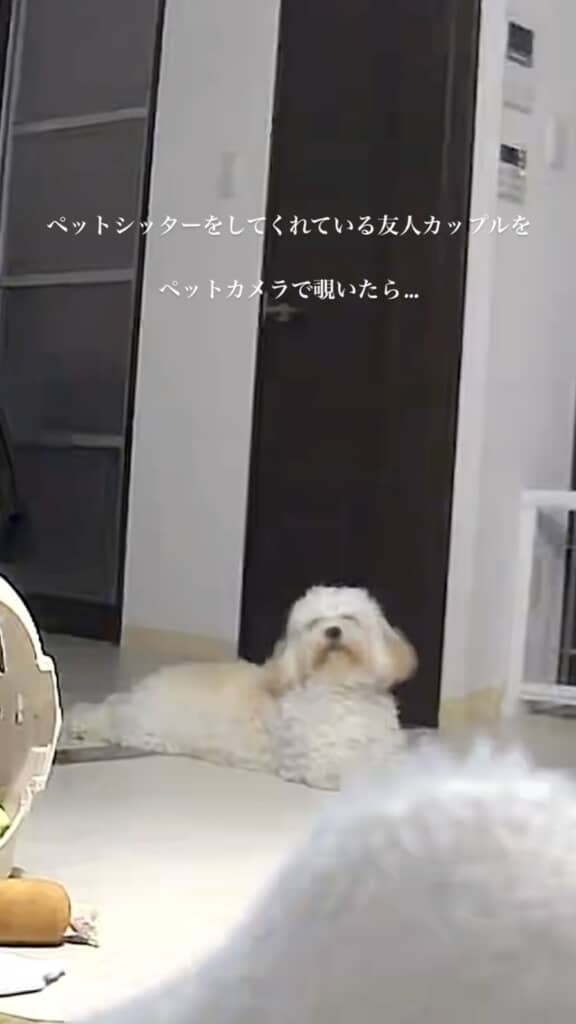 あまりにも「無」