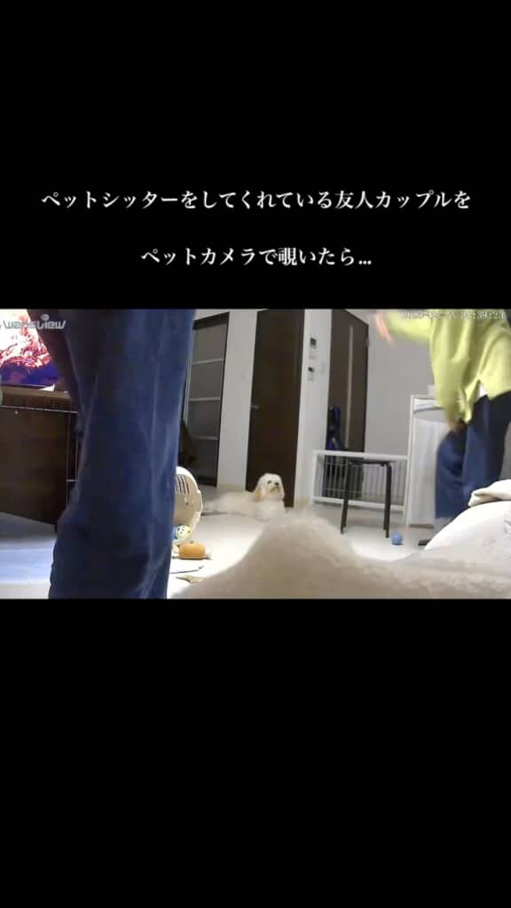 踊って楽しませようとしている友人たちの努力もむなしく……