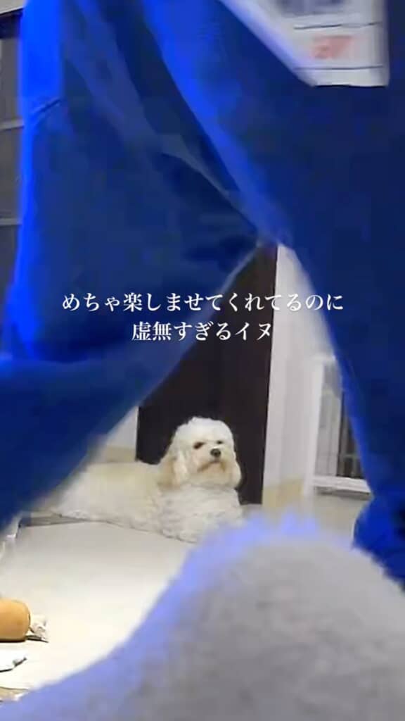 もうちょっと手心というものをだな