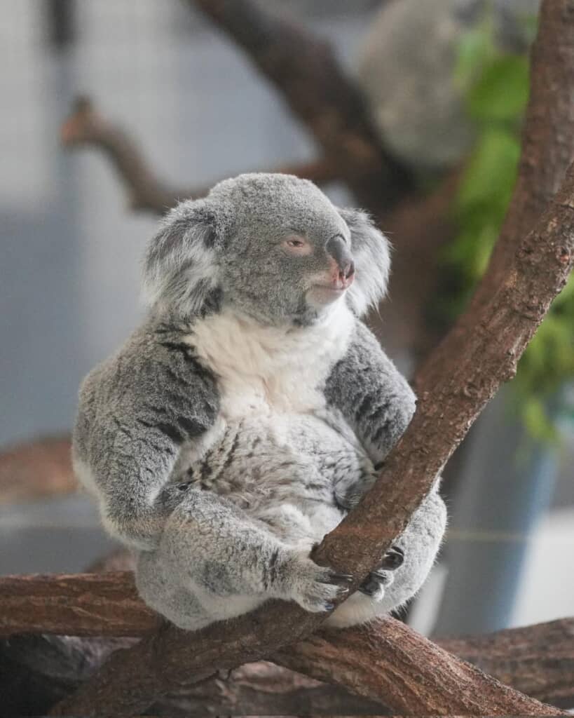 どこか人間味のある姿